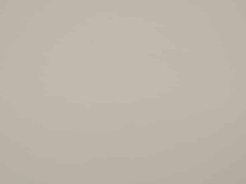 Oyster White