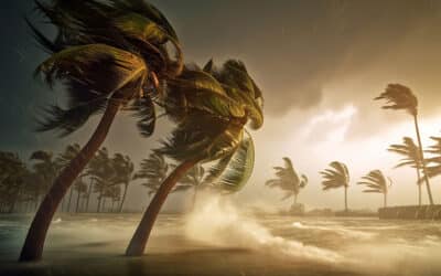 Designing for Extreme Weather Architecture: Material Selection Considerations